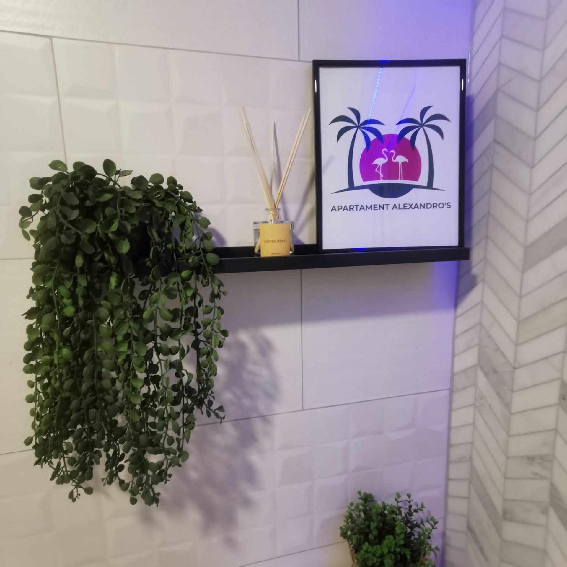 トレビエハApartament Alexandro'Sアパートメント エクステリア 写真